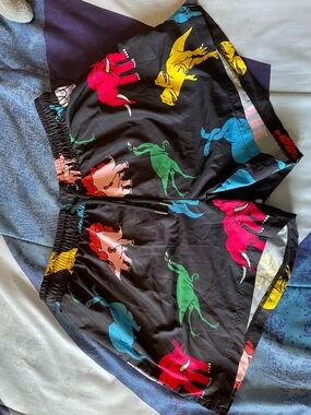 Hoaka Men's Black Swim Board Shorts with Multicolor Dino Print
